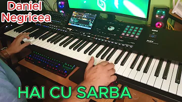 █▬█ █ ▀█▀ 2023 - Sarba - Daniel Negricea [Domn' Profesor Danciu]