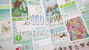 B6 Plan with me *english * | Succulents | StellaBeauStickerCo