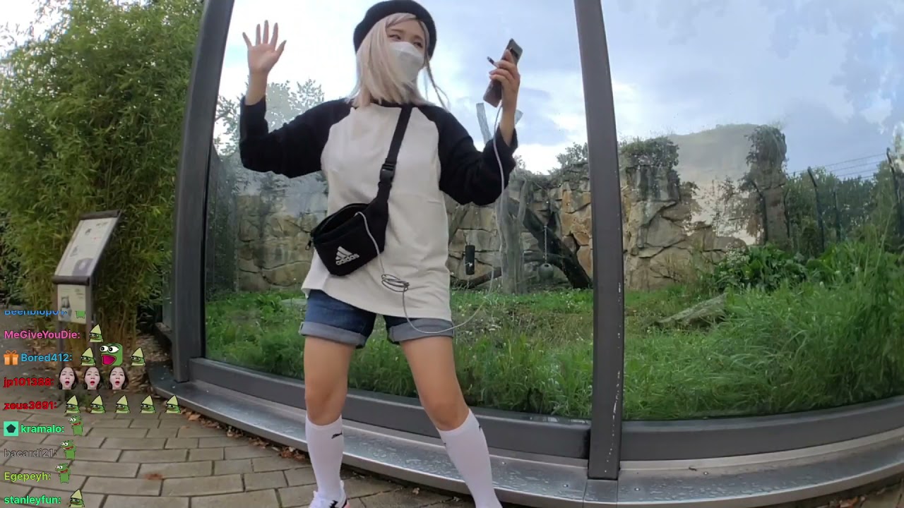 Hachubby gummy bear dance