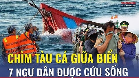 Chìm tàu cá giữa biển động, 7 ngư dân Quảng Trị thoát nạn  | TH&CL