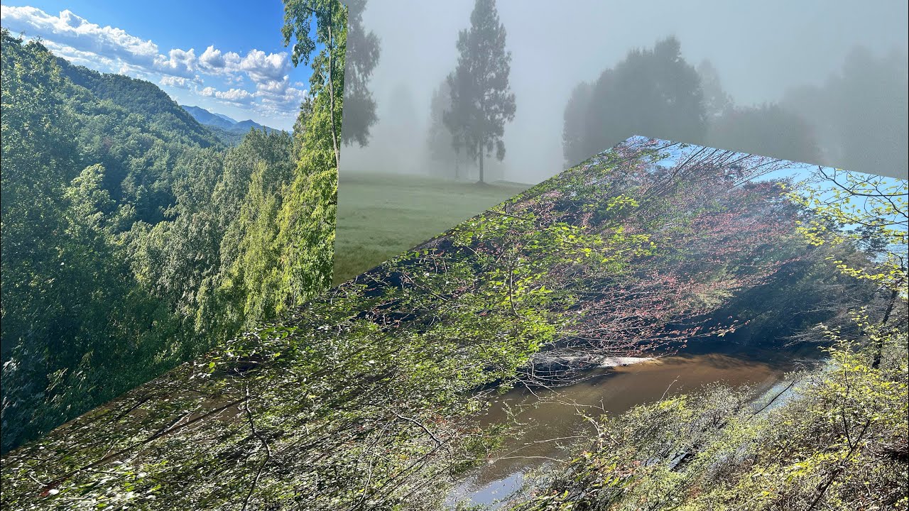 Fractured Dimensions 