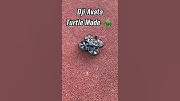 DJI Avata Turtle Mode Test 🐢