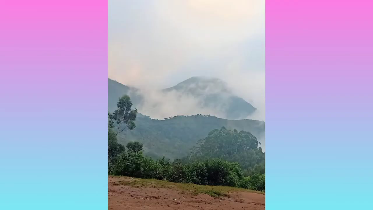 new year celebration at munnar🎉🎉🎊