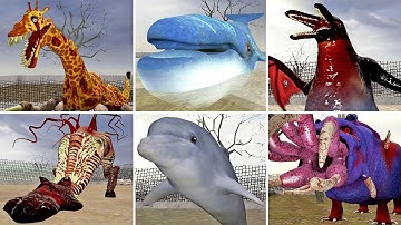 ZOOCHOSIS ALL NEW RELEASE CANDIDATTE ANIMALS MONSTERS ANIMALS & BLUE WHALE DOLPHIN in Garry