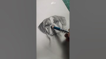 Drawing Pet Dogs of my Followers Pt. 1 #draw #shorts