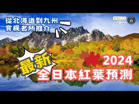全日本賞楓預測時間大揭秘！????從北海道到九州的日本人氣紅葉地點????推薦一紅葉預測網站。