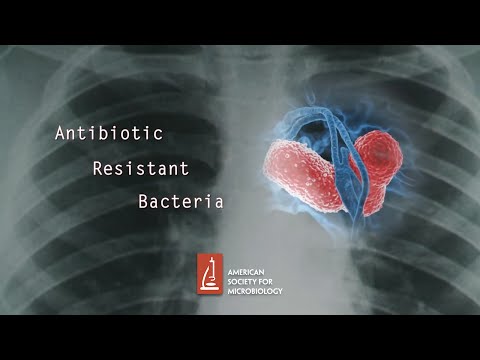 Video: Landsdækkende Epidemiologi Af Carbapenem-resistente Klebsiella Pneumoniae-isolater Fra Græske Hospitaler Med Hensyn Til Plazomicin Og Aminoglycosidresistens