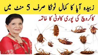 Cockroach killer Best remedy in the world, how to get rid of cockroach, cockroach colony finish