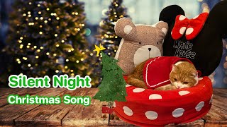 เพลงคริสต์มาส เพลง Silent Night ~ Christmas Jazz Song [ Scottish Fold ~ สก็อตติชโฟลด์ ]