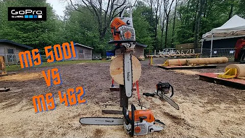 Ms 500i vs Ms 462 🔥🔥