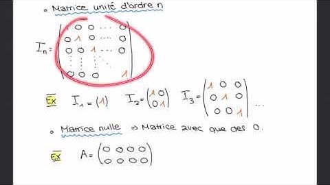 Calcul matriciel de base