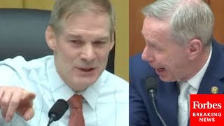 All Hell Breaks Loose In Weaponization Hearing After Democrat Attacks GOP's Witness Testimony
