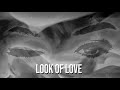 Abc  the look of love  lyrics