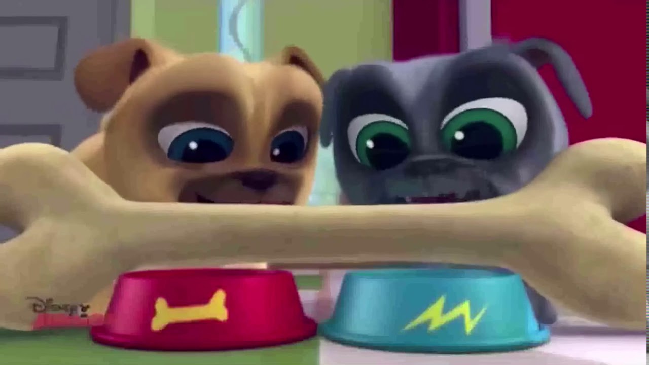 Puppy dog pals intro polish - YouTube