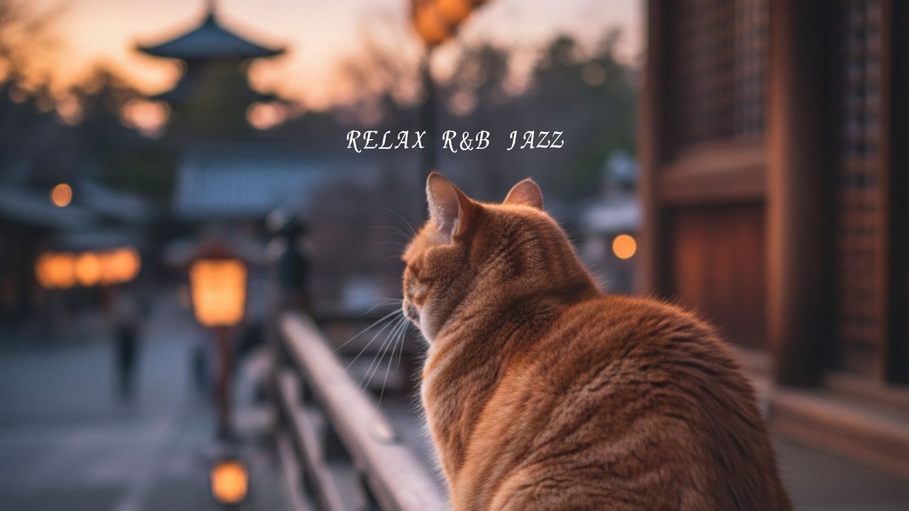 Kyoto Sunset Cafe & Cat Ambience 🐈 Relaxing Study BGM, Lo-fi & Jazz for Focus