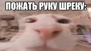 Увидеть Шрека: