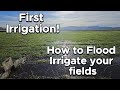 How to Flood Irrigate!