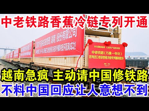 中老铁路香蕉冷链专列开通，越南急疯主动请中国修铁路，不料中国回应让人意想不到！