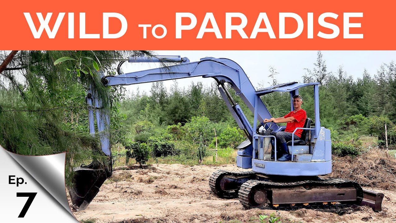 Digging out the trunks