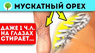 Зачем есть мускатный орех? Лечебный свойства ореха впечатляют