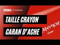  comparaison du taille crayon dahle 133 et du caran dache