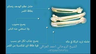 فوائد عظم الهدهد الاصلي للجلب وتهييج الحبيب وللمحبه ولعقد لسان مجرب ومضمون احجز الان 07716212611