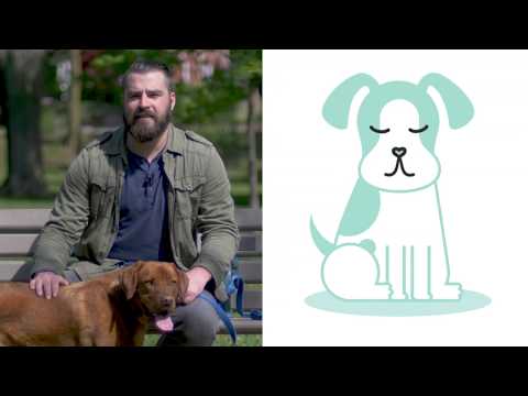 how-to-manage-your-dog’s-weight-|-pawsie-capsules
