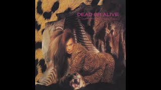 Dead Or Alive What I Want (Instrumental)