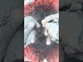 ASMR Soft Dry Sand Cement Crumbling into water #satisfying 105