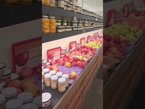 Amish Country Farmers