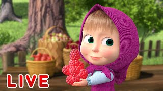 ماشا والدب LIVE STREAM!‍️ أشياء صغيرة حلوة  Masha and the Bear