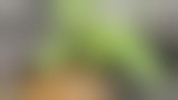 DWC Hydro Cannabis Grow - Week 3 (Seed Giveaway)