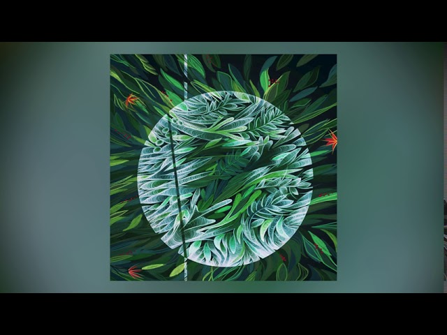 Polygonia - Enigmatic Forest [IO:013 / IO]