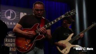 B. Lagrene, A. Faraò, G. Willis, L.White - What is This Thing Called Love - Live @ Blue Note Milano