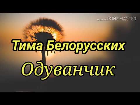 Тима Белорусских - Одуванчик (текст песни, lyrics)