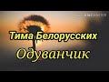 Тима Белорусских - Одуванчик (текст песни, lyrics)