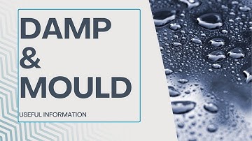 Understanding damp and mould