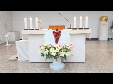 영상썸네일