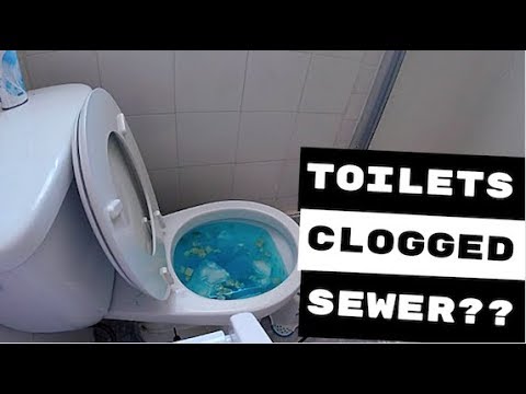 Two Clogged Toilets Possible Main Sewer, Toilet And Bathtub Clogged