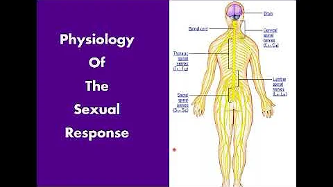 Sexuality and Sexual Health in MS