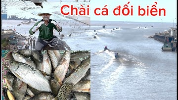 Chài cá ven biển /tập7