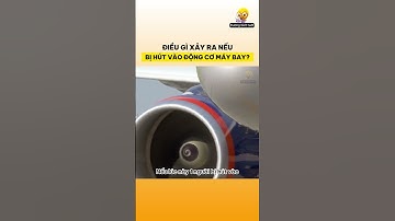 Điều gì xảy ra nếu bạn bị hút vào động cơ phản lực máy bay?