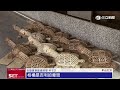 十年淬鍊　「全聯」奪台灣觀光永續獎雙銀殊榮｜三立新聞LIVE
