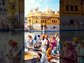 Sewa kariye #shorts #viral #gurudwara #waheguru