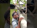 ЁЯШВЁЯШВЁЯШВ Nilikuwa Naangalia Mapela ЁЯдгЁЯдгЁЯдг ЁЯШВЁЯШВЁЯШВ Nilikuwa Naangalia Mapela ЁЯдгЁЯдгЁЯдг