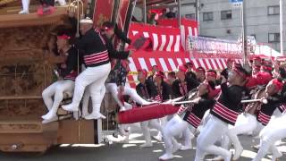 2015 0918 00103 2回目試験曳き 貝源 下野町 岸和田だんじり祭