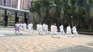 2015-0212-楊式24