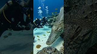 সমুদ্রের নিচে কত সুন্দর দেখুন #ai #animation #animals