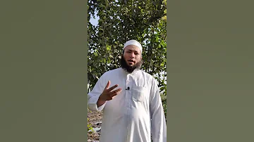 شجرة التفاح في المنام للشيخ أحمد عبد الحافظ 