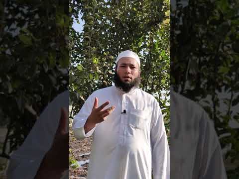 شجرة التفاح في المنام للشيخ أحمد عبد الحافظ 